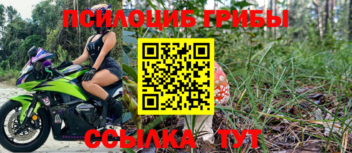 Псилоцибиновые грибы MAGIC MUSHROOMS  Вход с VPN  Лесозаводск 